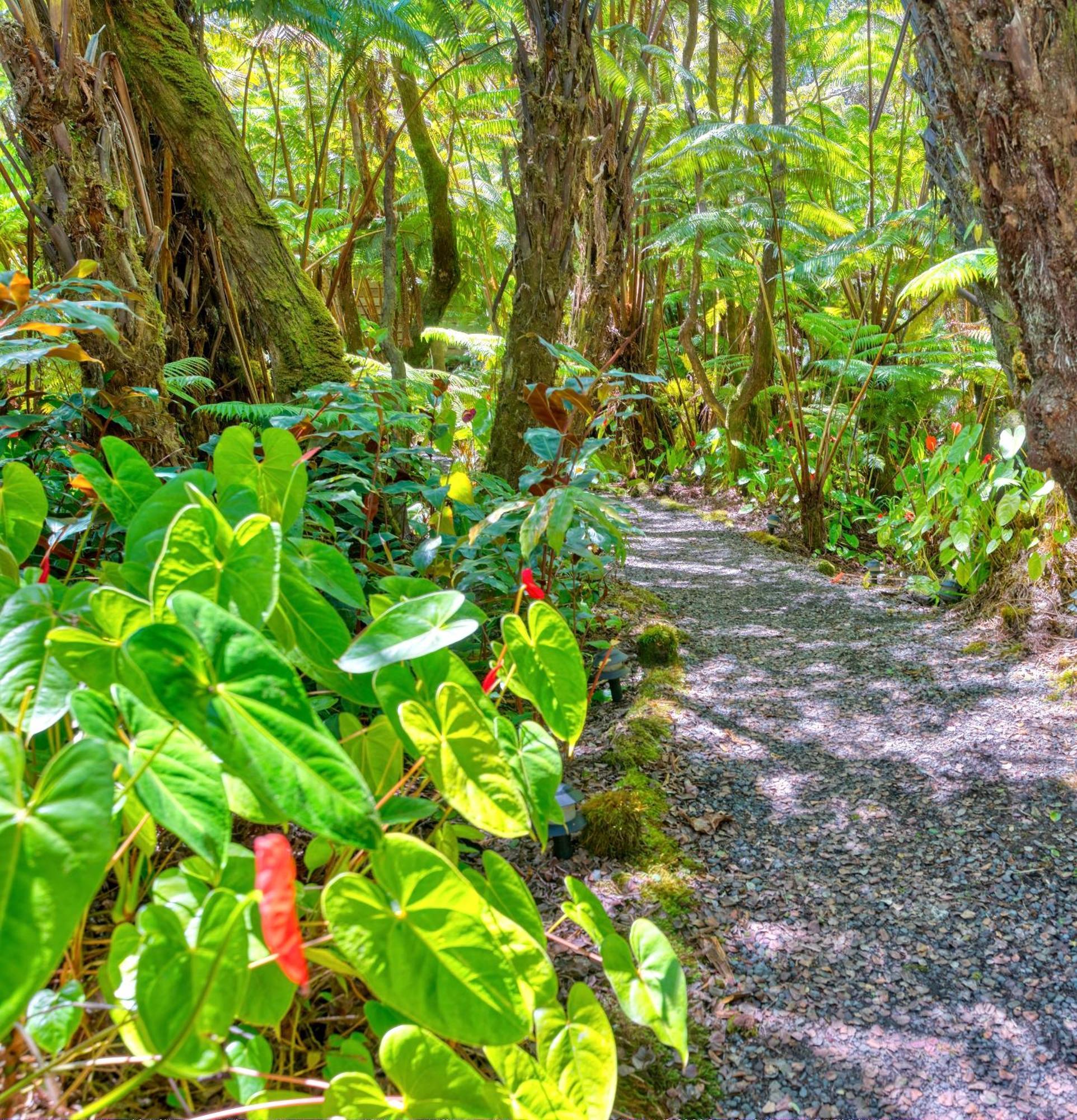 The Pacifica Inn Volcano Ngoại thất bức ảnh
